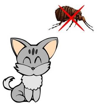 Antiparasitarios pulgas y garrapatas effipro para gatos