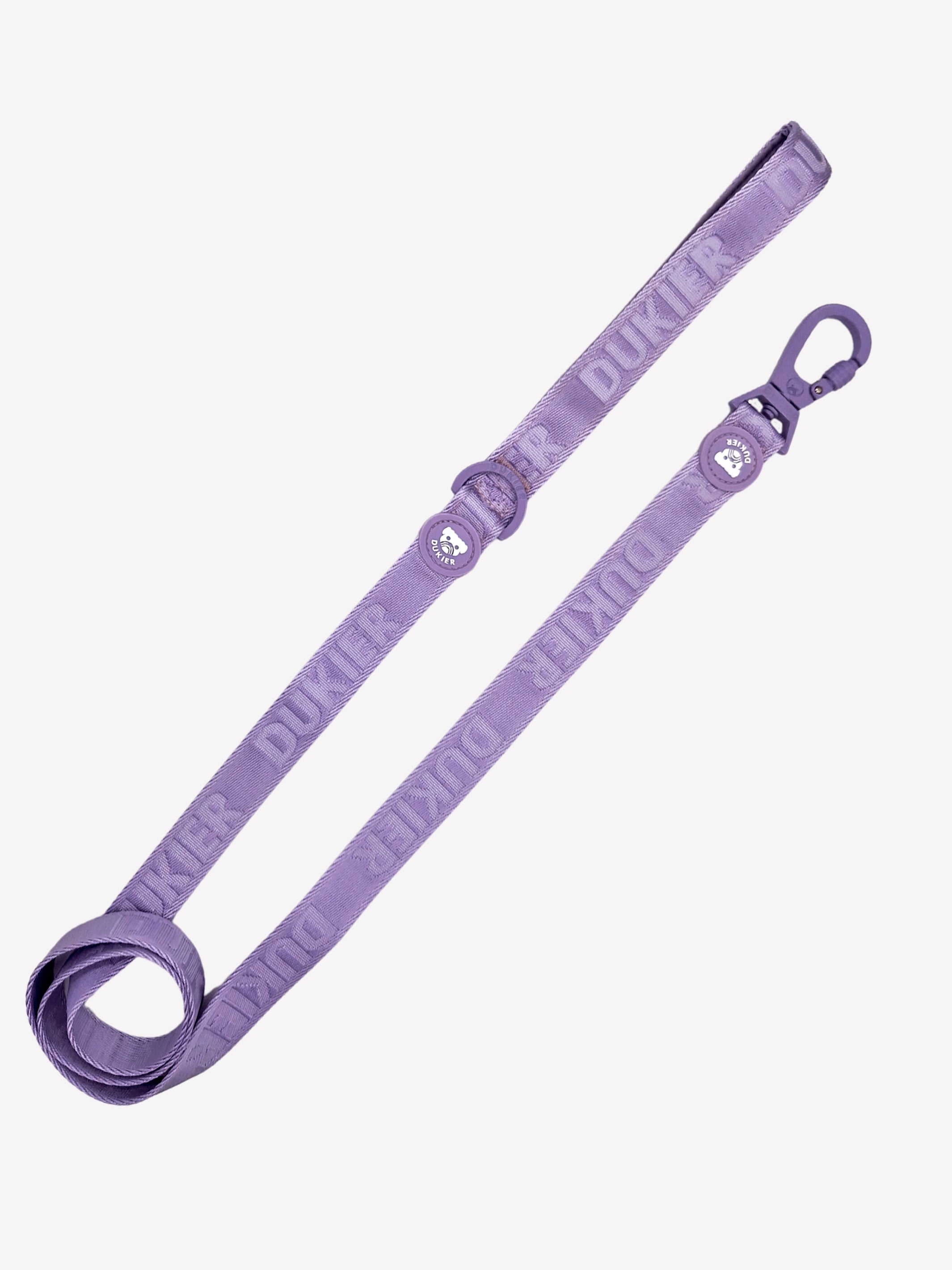Correa Violet (Essentials) S