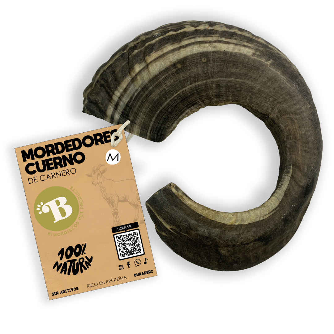 BIMORDISCOS Cuerno de carnero para perros Pack 2 x M