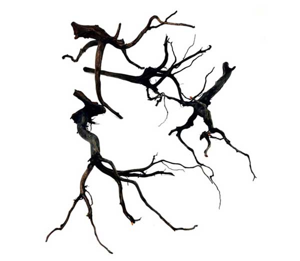 Madera Rasamala Black M
