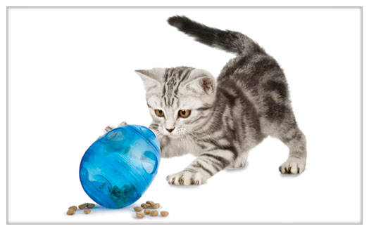 Funkitty egg cersizer dispensador de golosinas para gatos