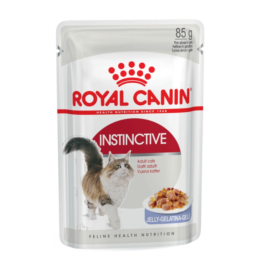 12 sobres x 85 g Royal Canin Instinctive gelatina sobres para gatos ¡Pack ahorro!