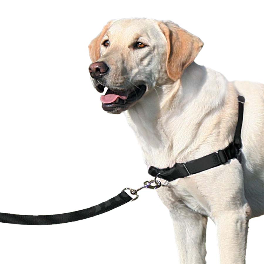 Nayeco Easy Walk Arnés de Pectoral Negro para perros