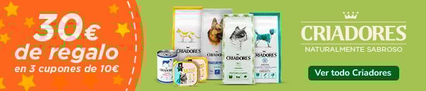 Banner promocional