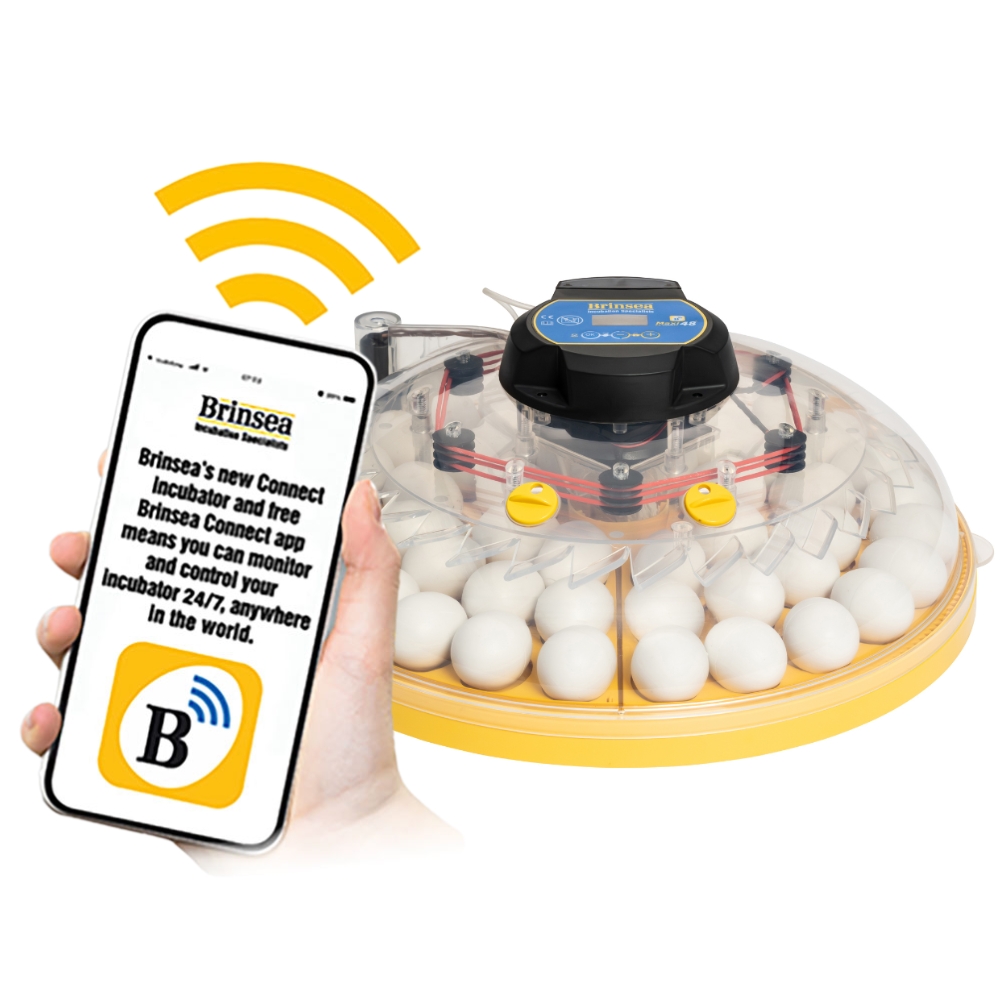 Incubadora Brinsea MAXI 48 Connect – Control Remoto desde el Móvil, Programación Digital de Temperatura, Humedad y Volteo, Enfriamiento de Huevos y
