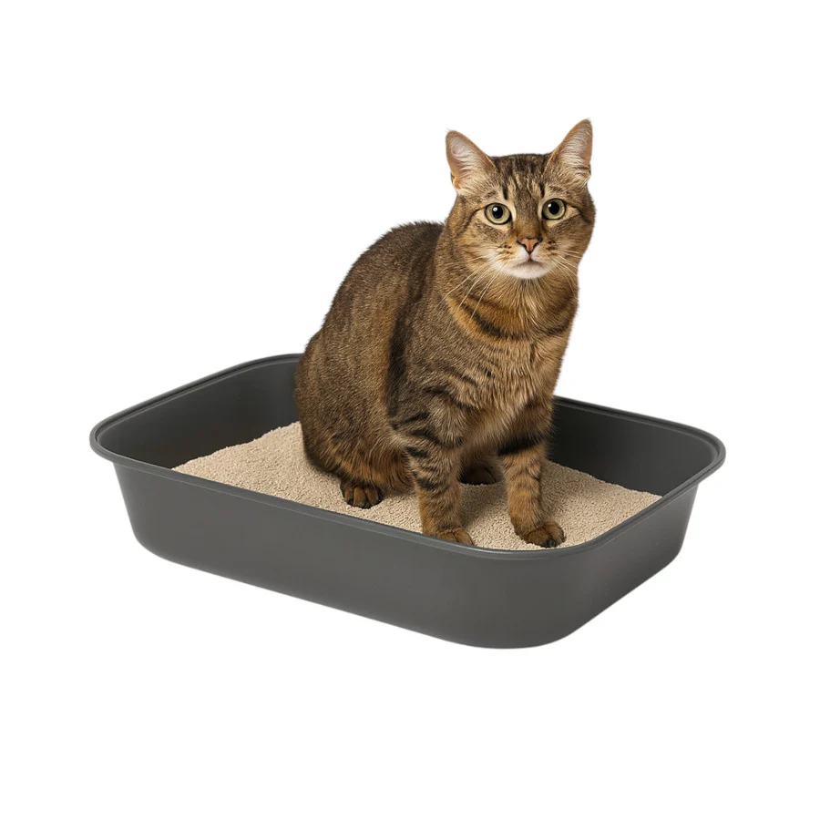 TK Pet Bandeja Sanitaria Básica para gatos