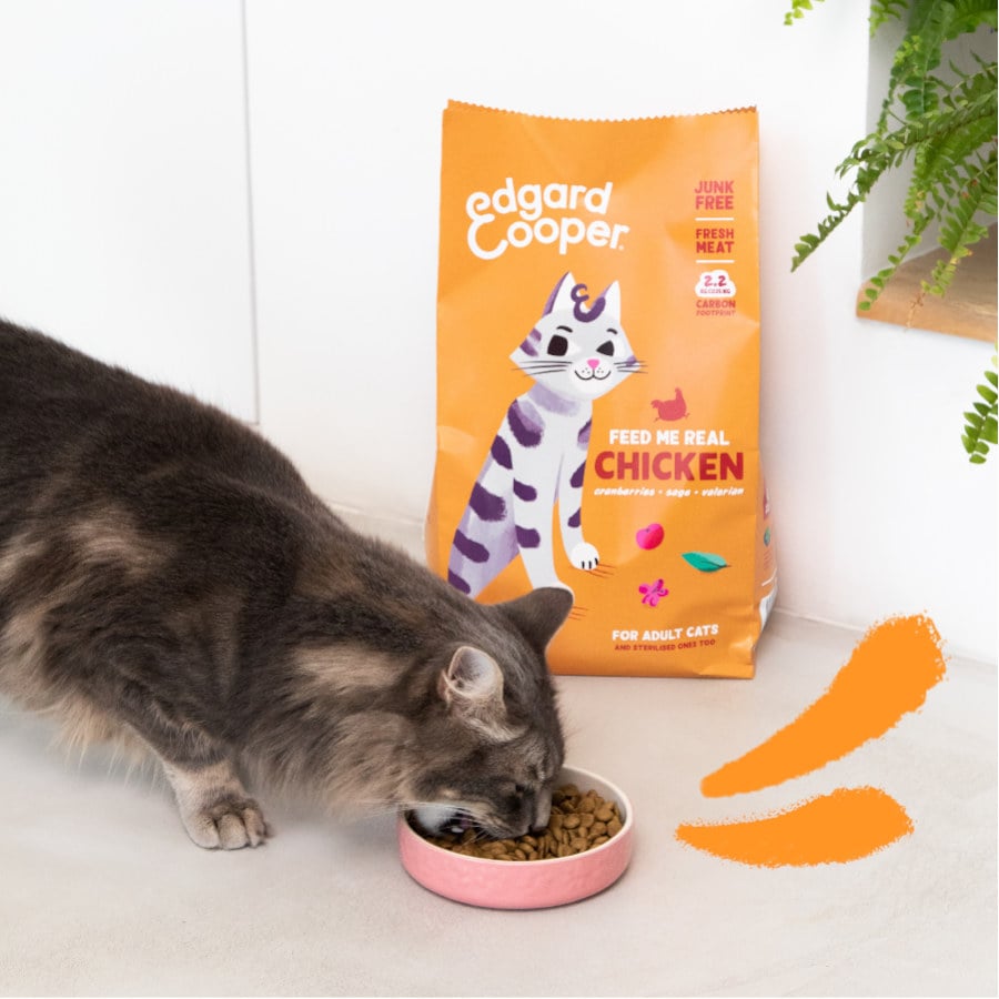 Edgard & Cooper Adult Pollo