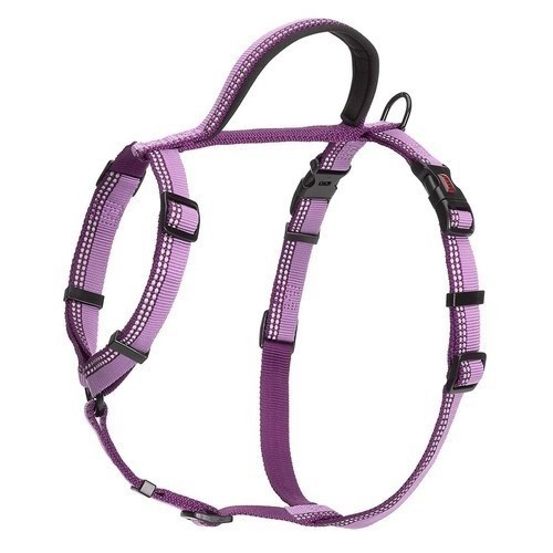 Arnés de paseo Halti para perros color Púrpura, , large image number null