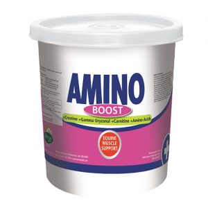 AMINO BOOST EQUINE 3KG – POLVO