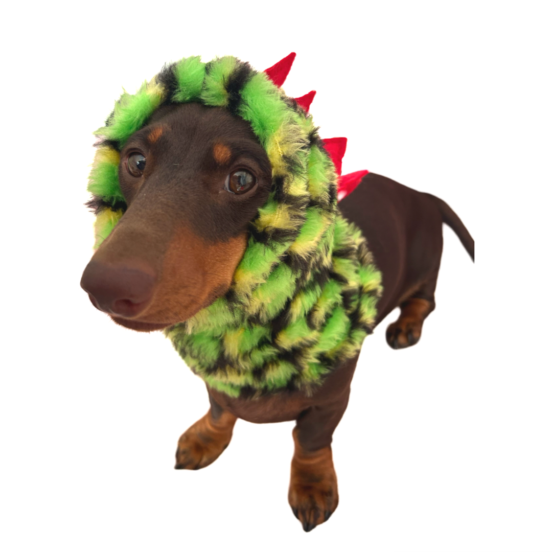 Gorro  bufanda para perro – Dinosaurio