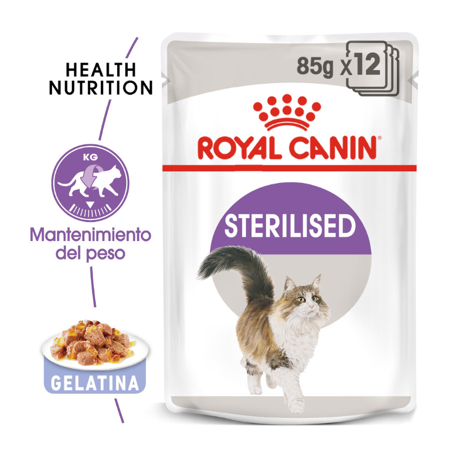 48 sobres x 85 g Royal Canin Sterilised gelatina sobres para gato ¡Pack ahorro!