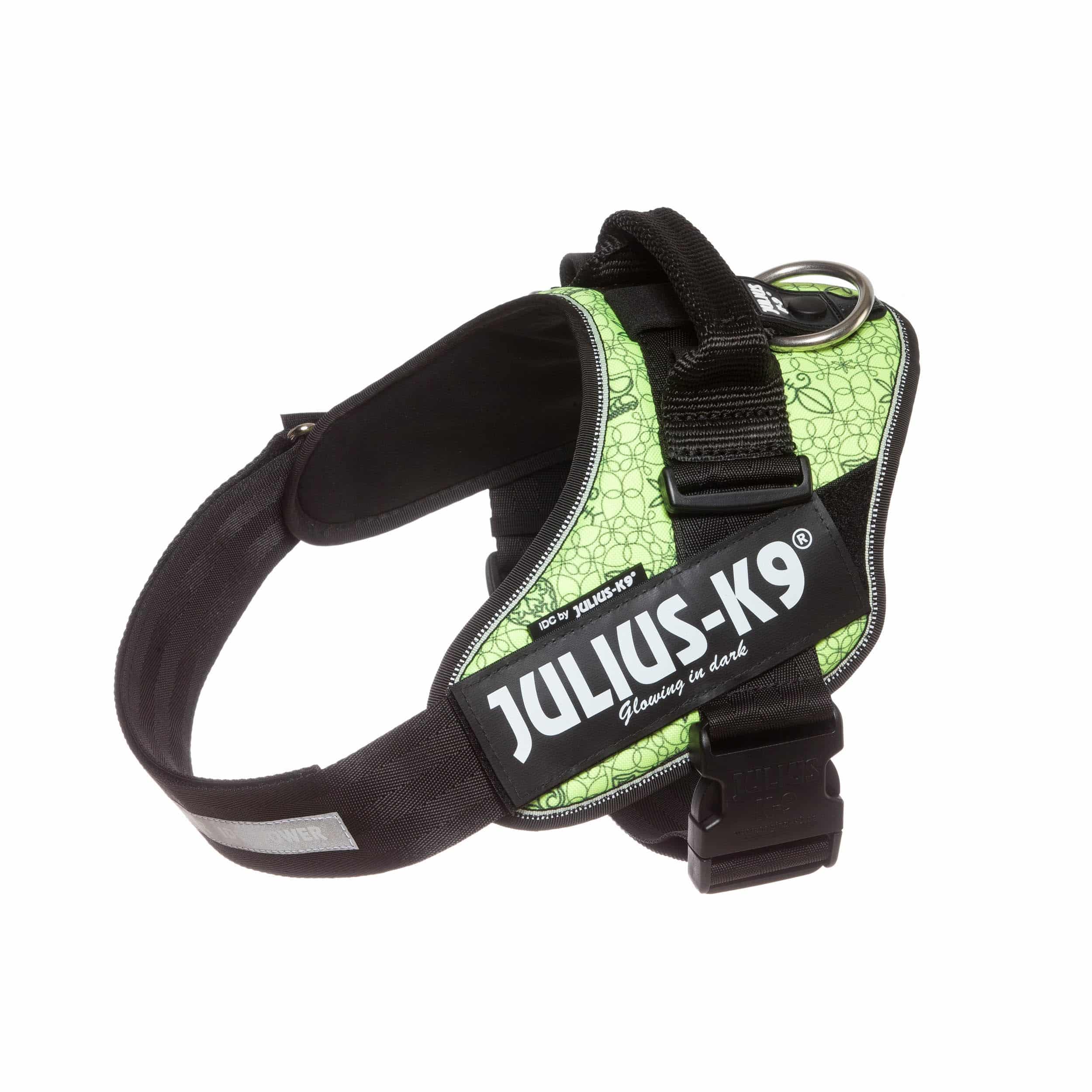 Julius-K9 Atilla