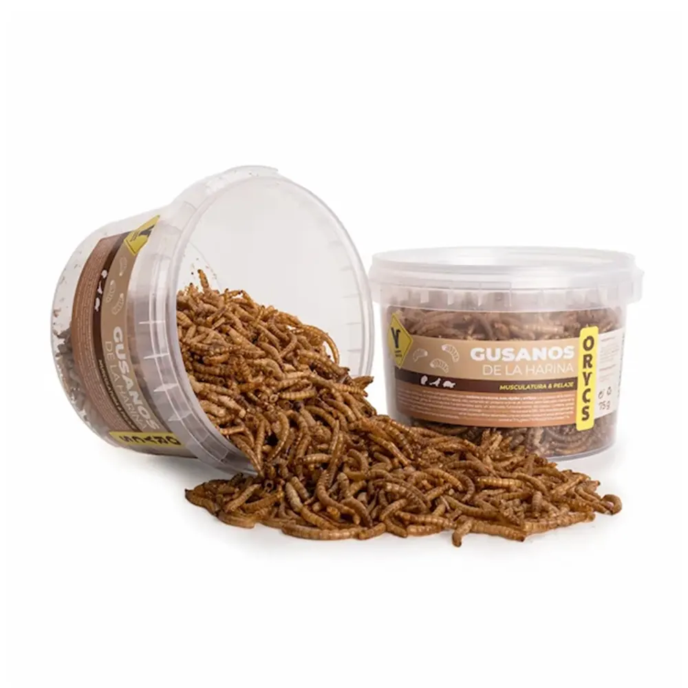 Snack Gusanos de la Harina ORYCS alimento complementario para roedores omnívoros, aves, reptiles y anfibios 75 g