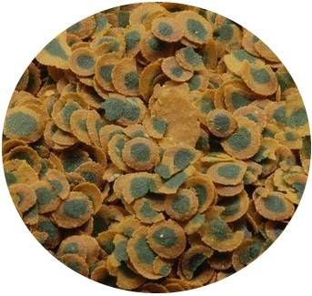 Tetra Pro Algae Crisps