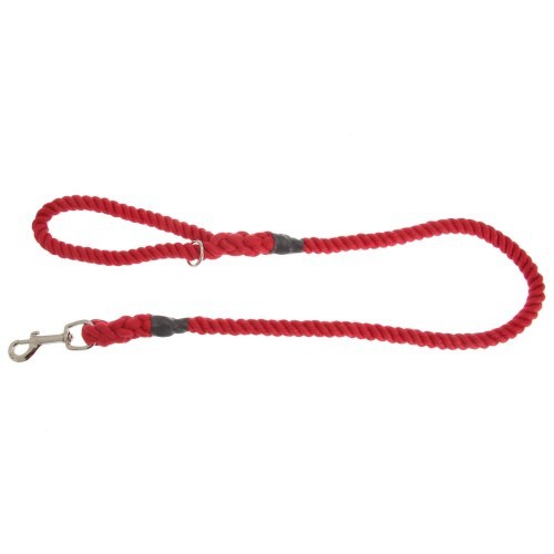 Correa de cuerda modelo Outhwaites para perros color Rojo, , large image number null