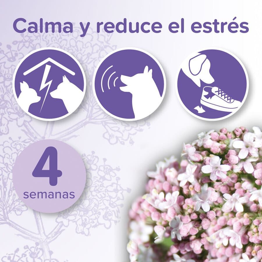 Beaphar No-Stress Difusor de Recambio Anti estrés para perros