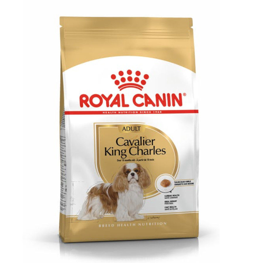 3 kg Royal Canin Adult Cavalier King Charles pienso para perros