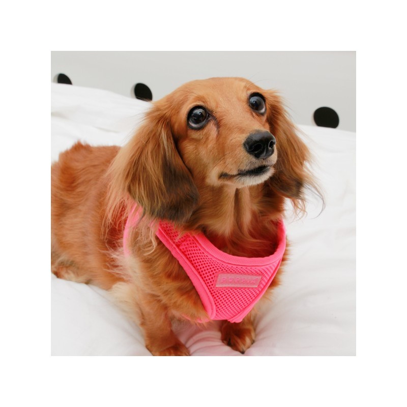 Arnés Neon Vest para perros color Rosa, , large image number null