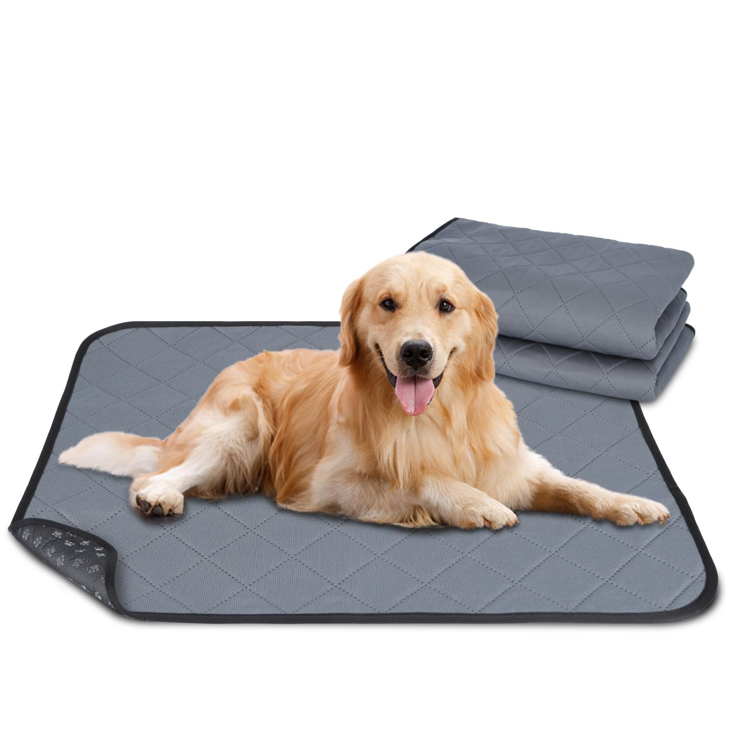 Nobleza 2 Piezas Lavable Almohadillas de Entrenamiento para Perros, Empapadores para Perros, Entrenamiento Almohadilla para Mascota, Reutilizable