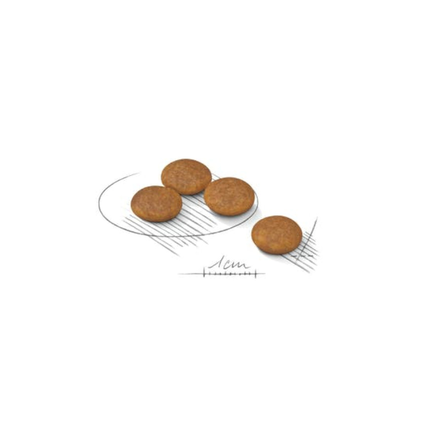 Royal Canin Light Weight Care X-Small pienso para perros