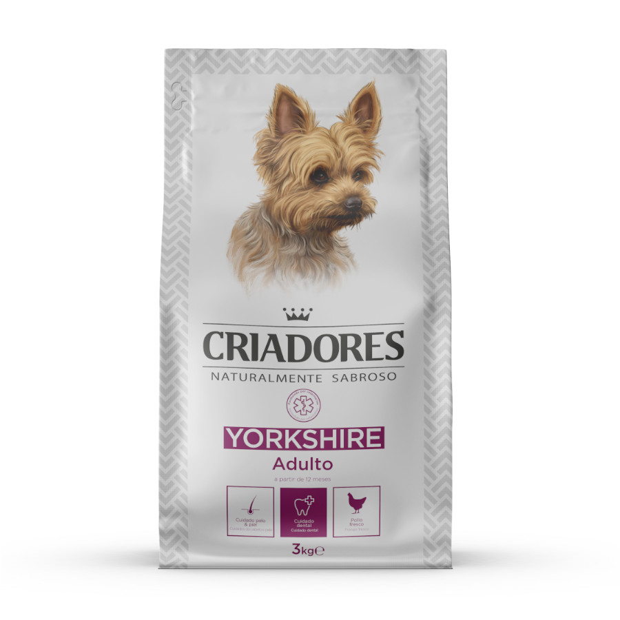Criadores Yorkshire Terrier pienso para perros