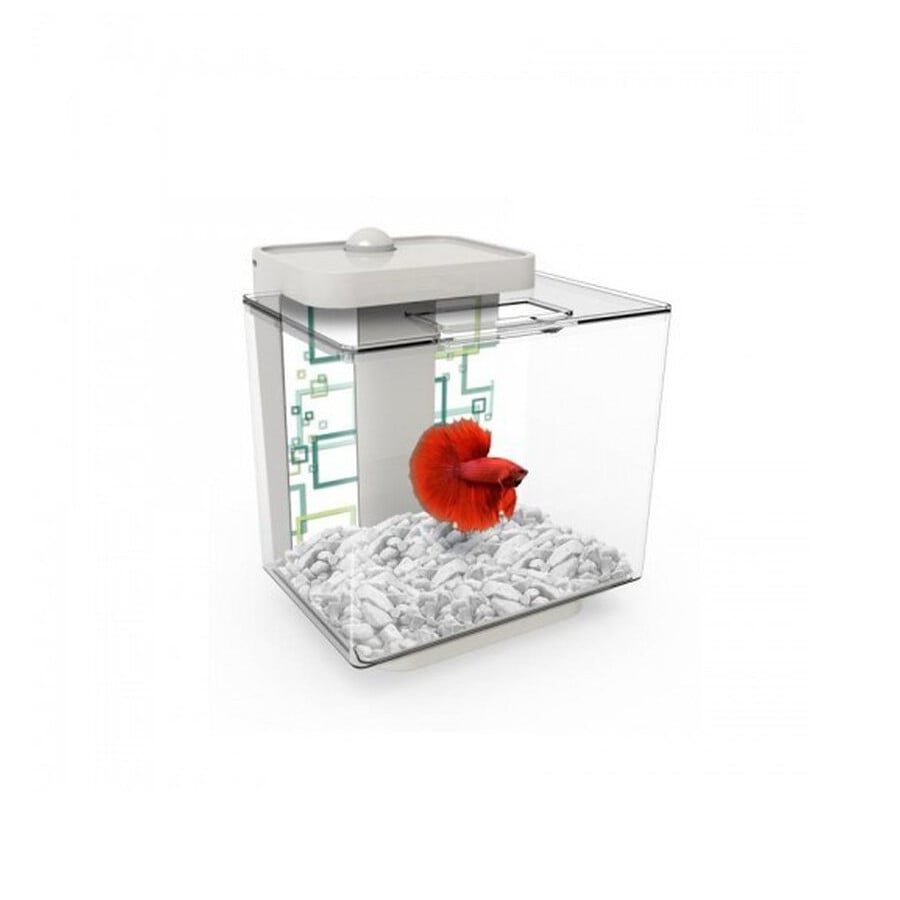 Marina Kit acuario blanco bettera Betta Ez Care para peces