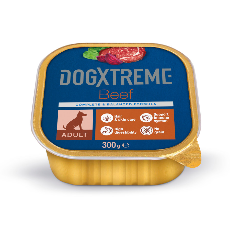 12 tarrinas x 300 g Dogxtreme Adult Buey tarrina para perros ¡Pack ahorro!