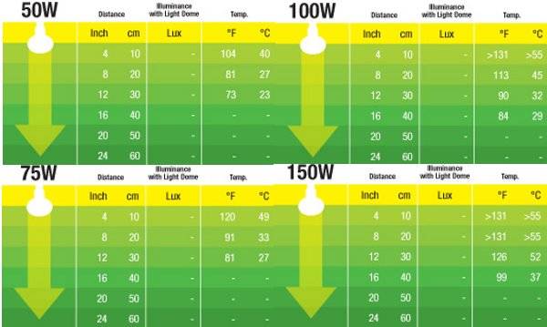 Exo Terra L?mpara Infrarroja Infrared Basking Spot
