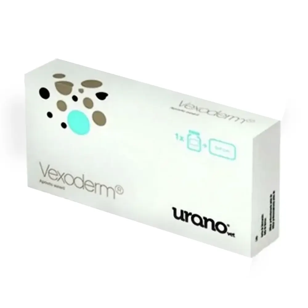 Vexoderm apósitos