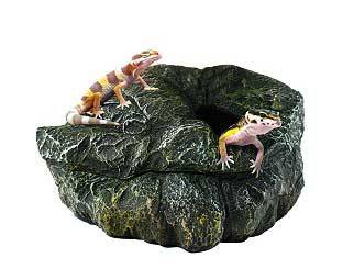 Repti Shelter para reptiles