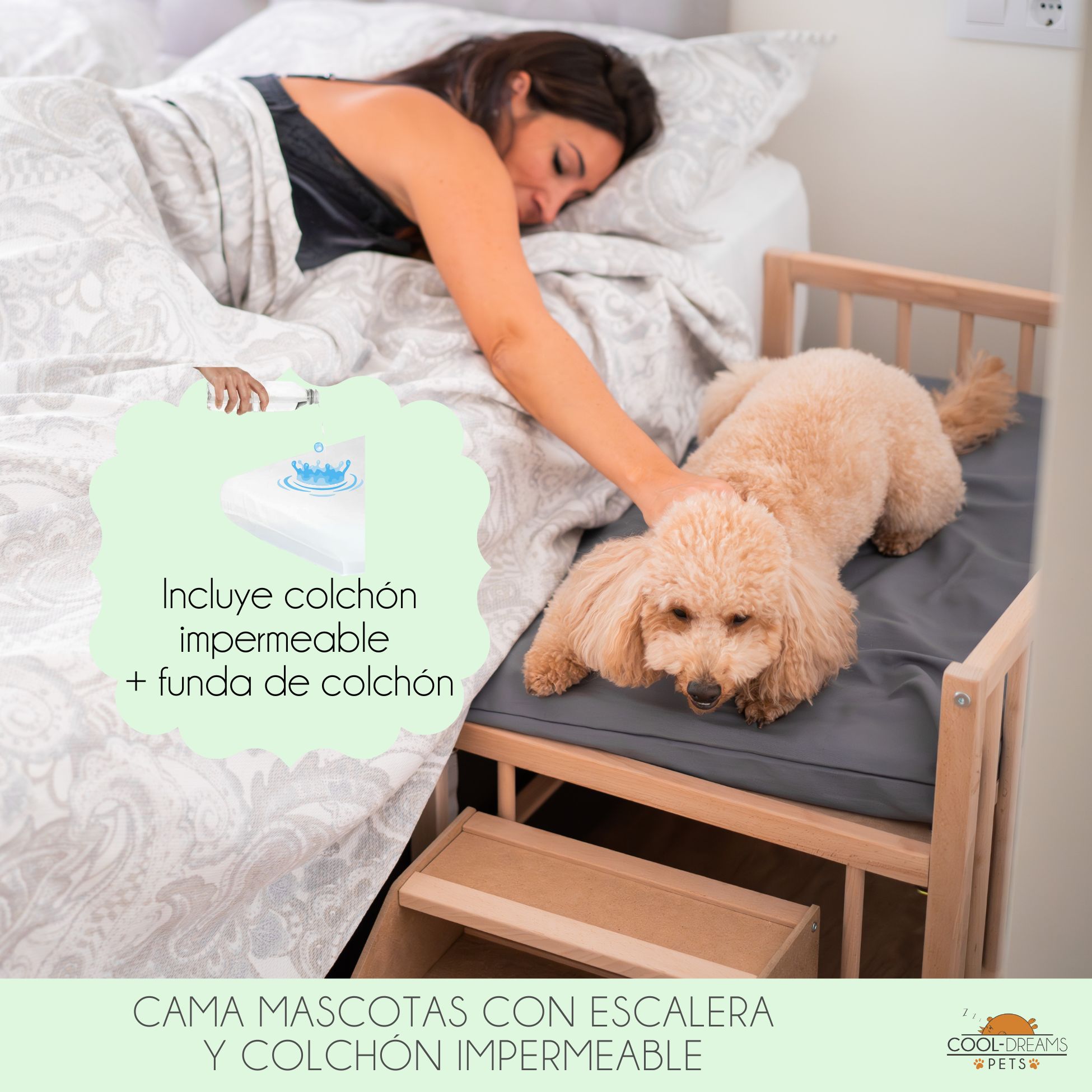 Cama para Perro, Gato, Elevada de Madera con Con