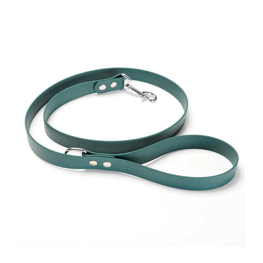 Gotoo Correa Biothane verde para perros