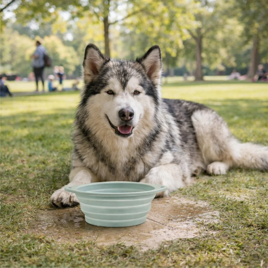 Gotoo Bebedero Plegable y Portátil de Silicona para perros y gatos