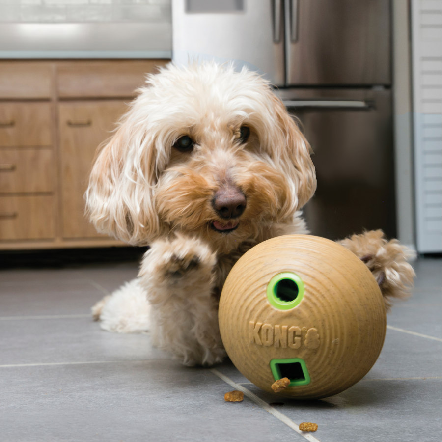 Kong Pelota Portagolosinas para perros