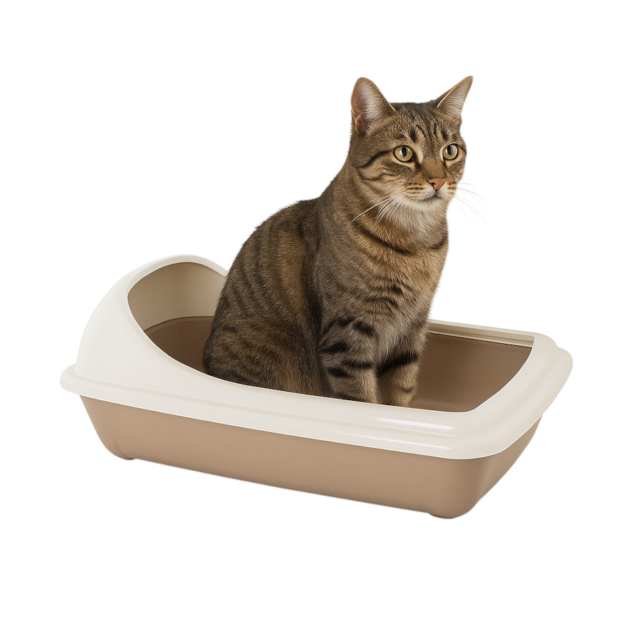 Nice Care Bandeja Sanitaria Birba Cornice Beige para gatos