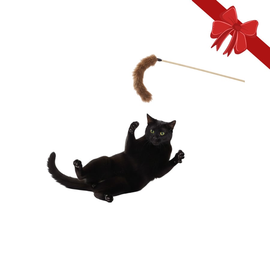 Wonder Christmas Juguete de Caña Navideño para gatos