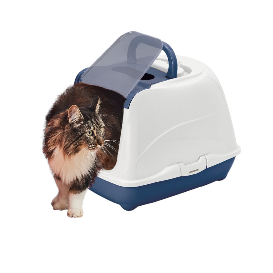 Nice Care Mega Flip Large Azul para gatos