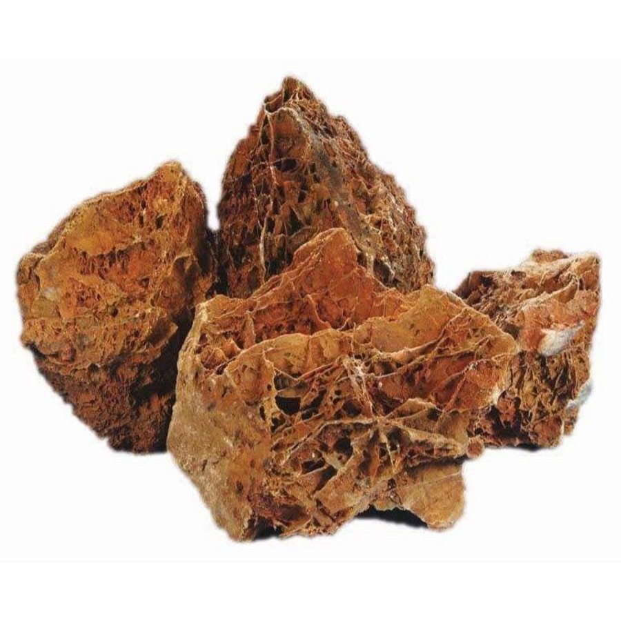 BONSAQUA MAPLE ROCK