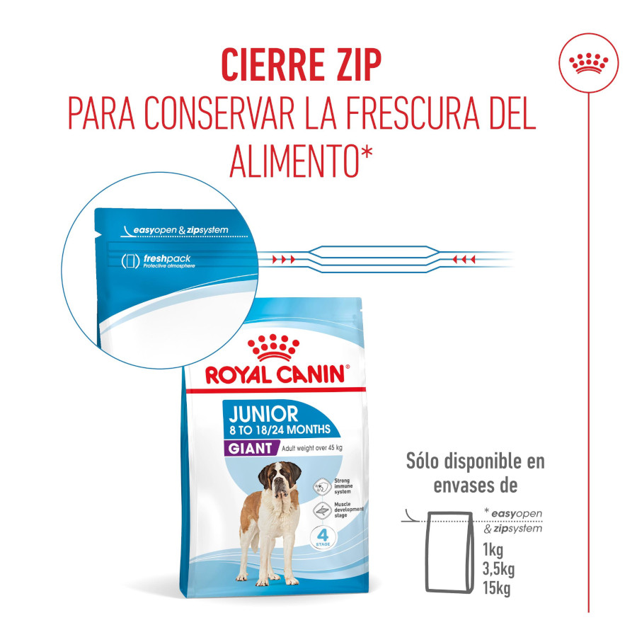 Royal Canin Giant Junior pienso para cachorro