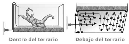 UbicaciÃ³n del cable calefactor en el terrario