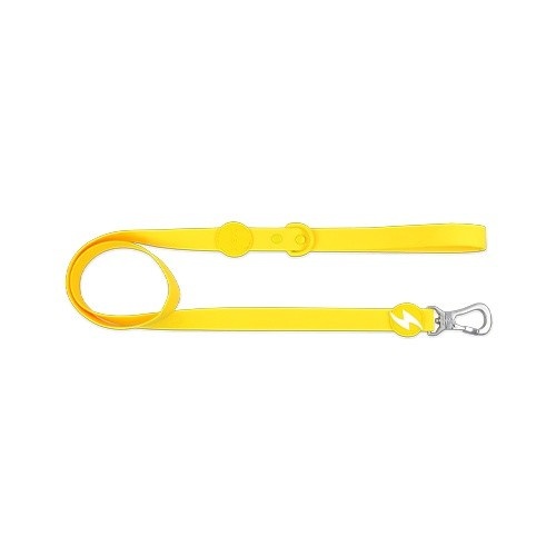 Dashi correa de TPU amarillo para perros