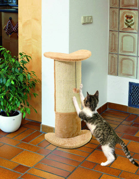Rascador esquinero para gatos protege paredes