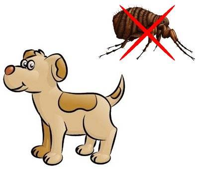 Effipro antiparasitario perro contra pulgas garrapatas