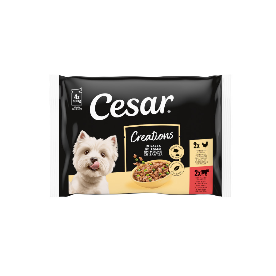12 sobres x 100 g Cesar Carnes Mixtas Gelatina en Bolsita para Perros  ¡Pack ahorro!