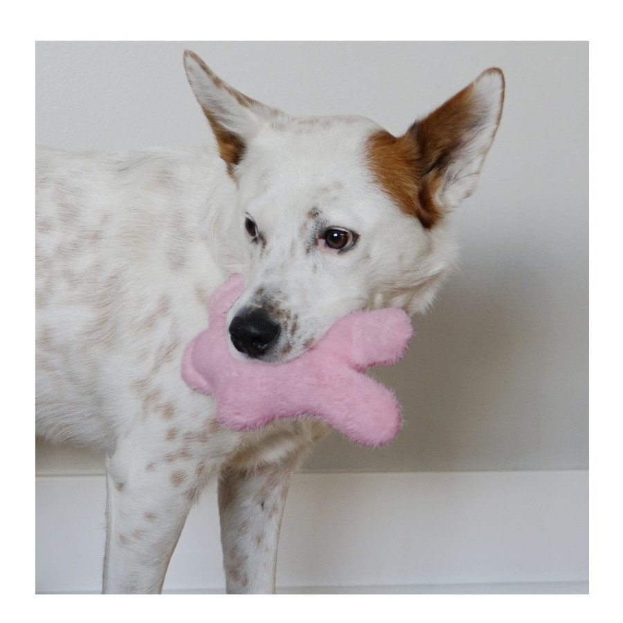 Kong Snuzzles Kiddos Conejo de peluche para cachorros