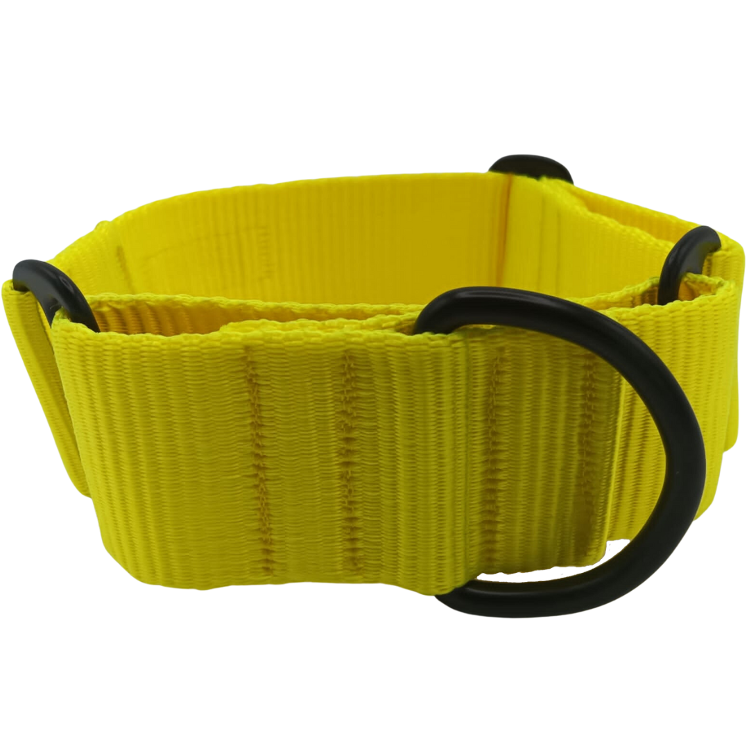 EGV – Collar Martingale. Collar galgo hecho a mano en España (Amarillo)