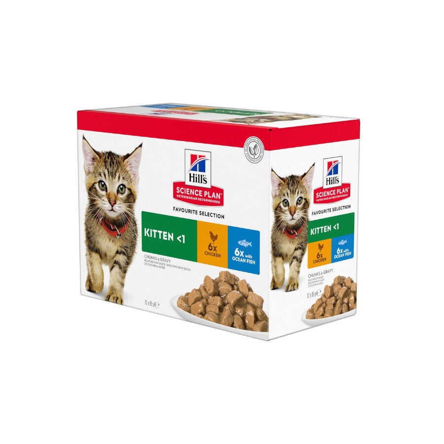 24 sobres x 85 g Hill’s Science Plan Kitten Pollo y Pescado sobre para gatos  ¡Pack ahorro!
