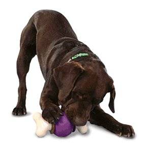 Bouncy bone mordedor con pelota de caucho y portagolosinas perros