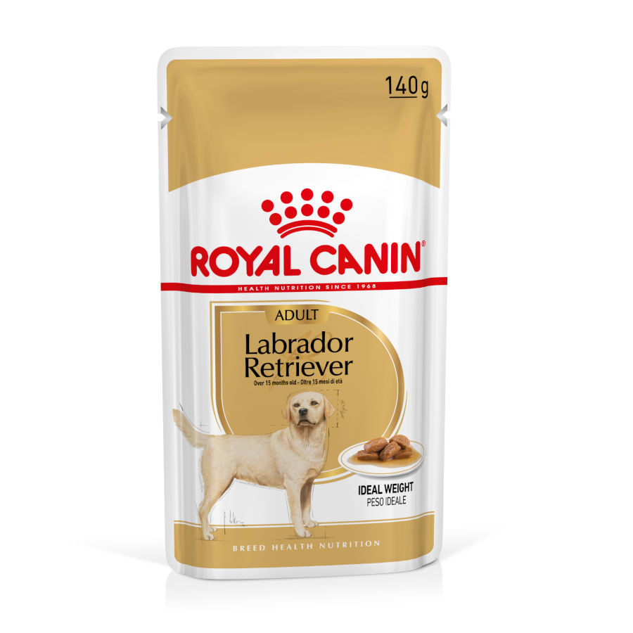 Royal Canin Labrador Sobres