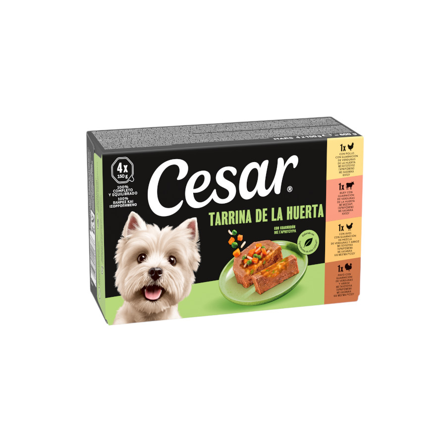 4 tarrinas x 150 g Cesar Recetas de la huerta Tarrina en Paté y Gelatina para Perros
